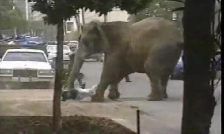 地球公民剧照的剧照