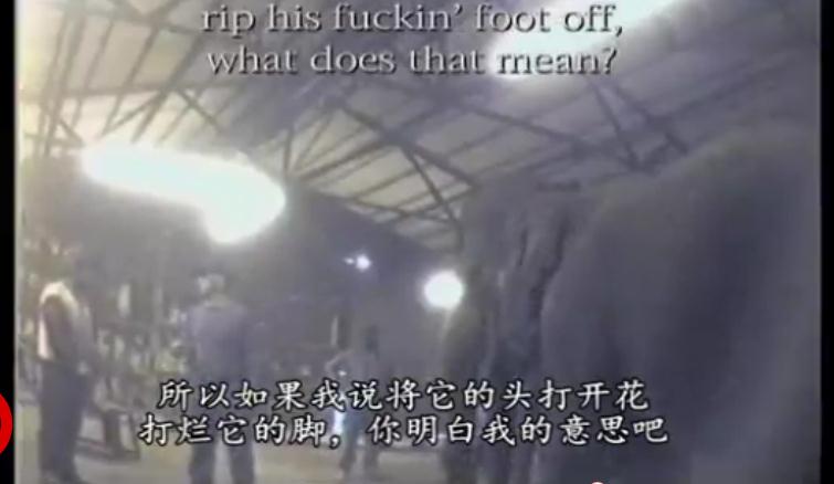 地球公民剧照的剧照