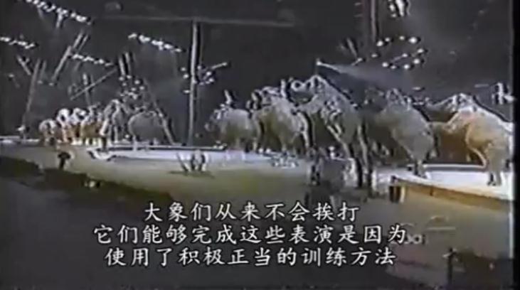 地球公民剧照的剧照