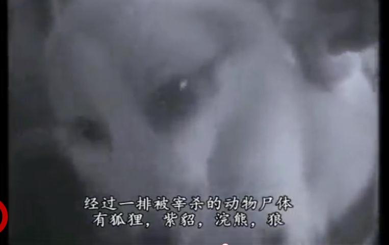 地球公民剧照的剧照