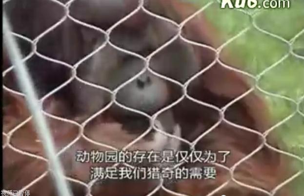 地球公民剧照的剧照