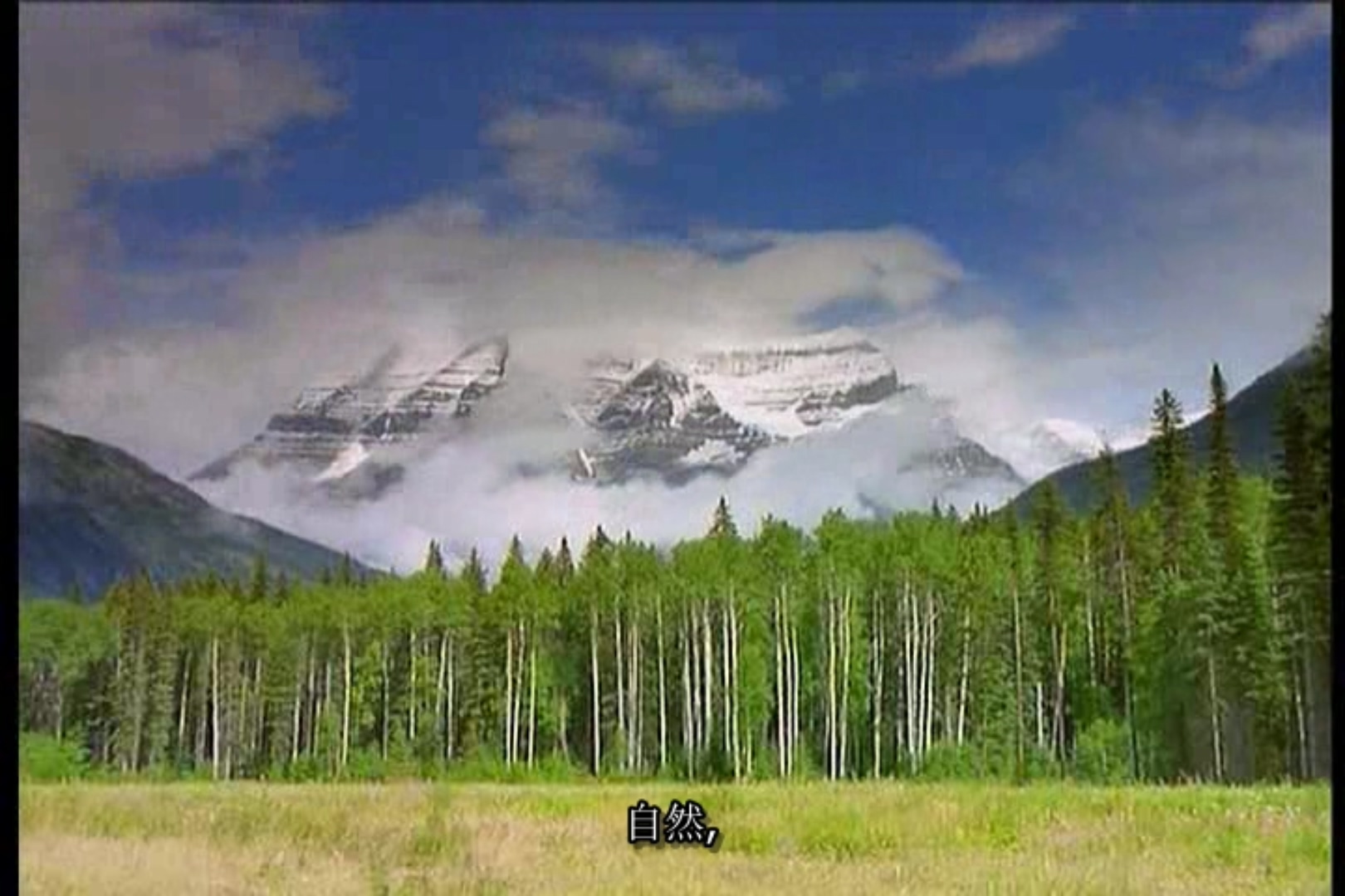 地球公民剧照的剧照