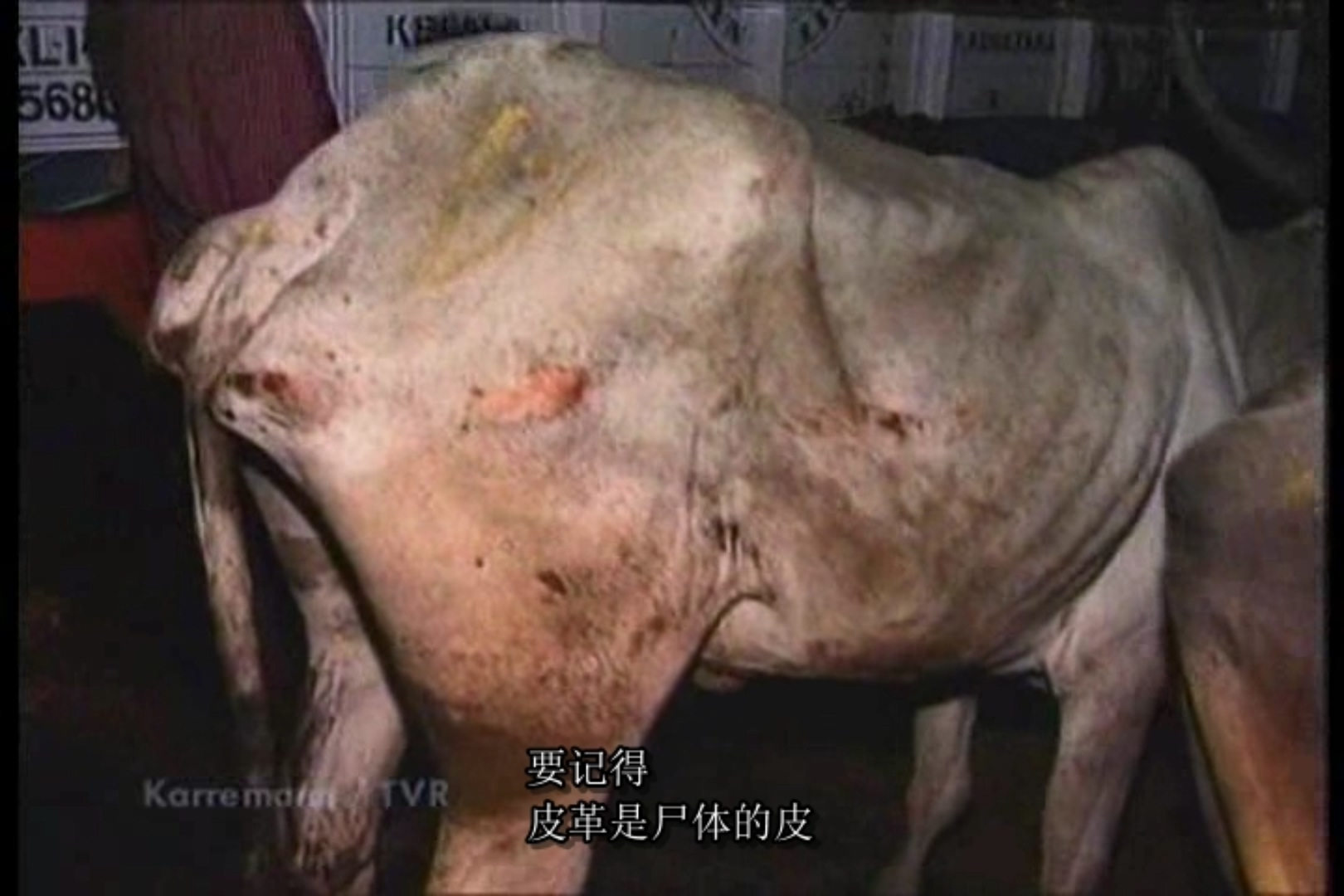 地球公民剧照的剧照