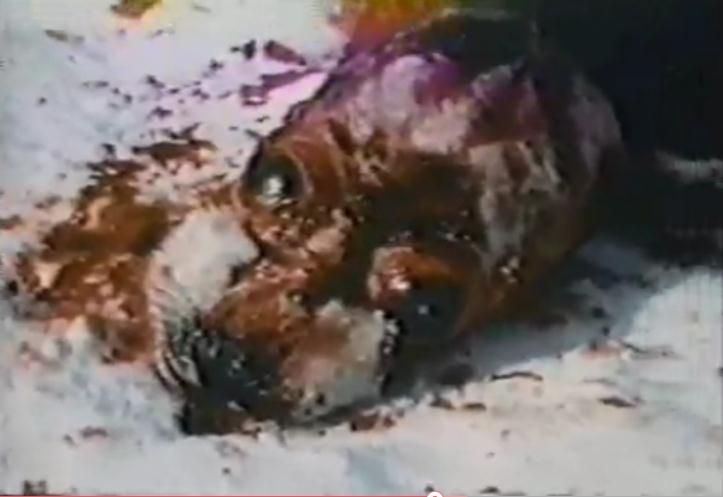 地球公民剧照的剧照