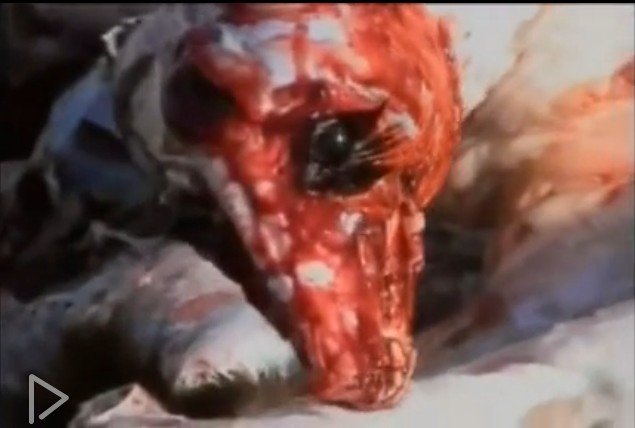 地球公民剧照的剧照