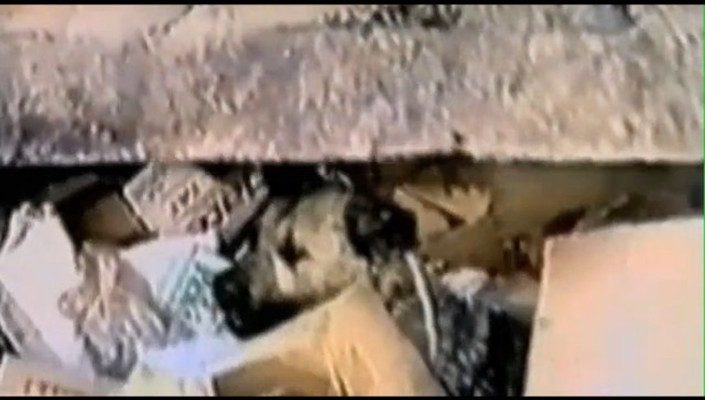 地球公民剧照的剧照