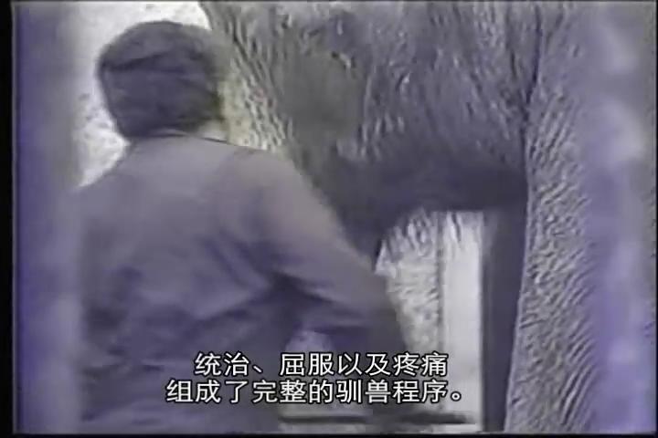 地球公民剧照的剧照