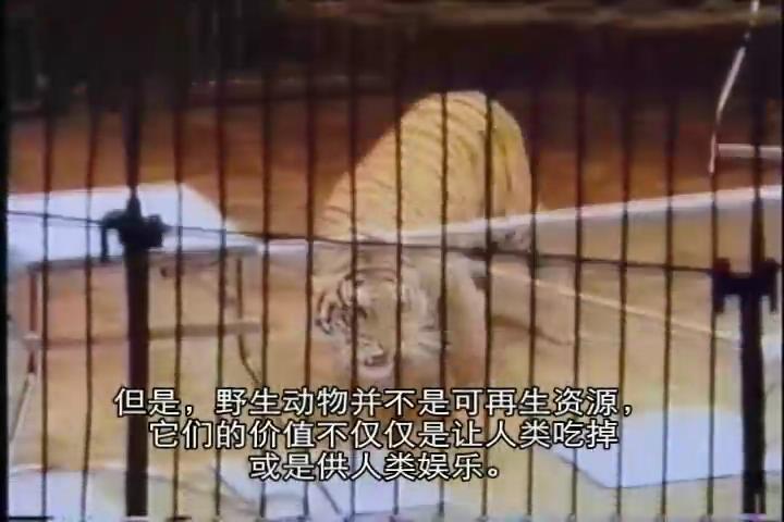 地球公民剧照的剧照