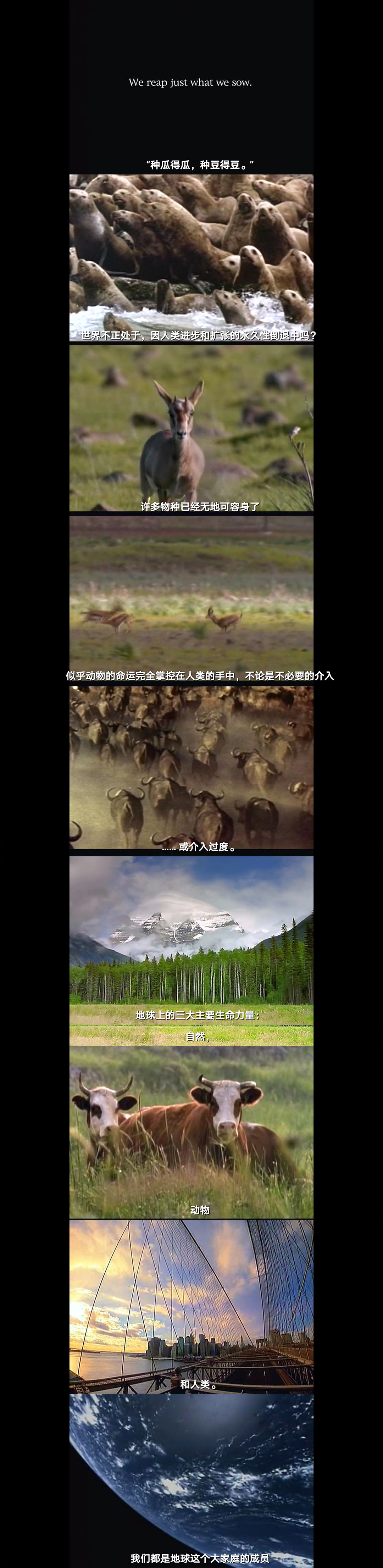 地球公民剧照的剧照