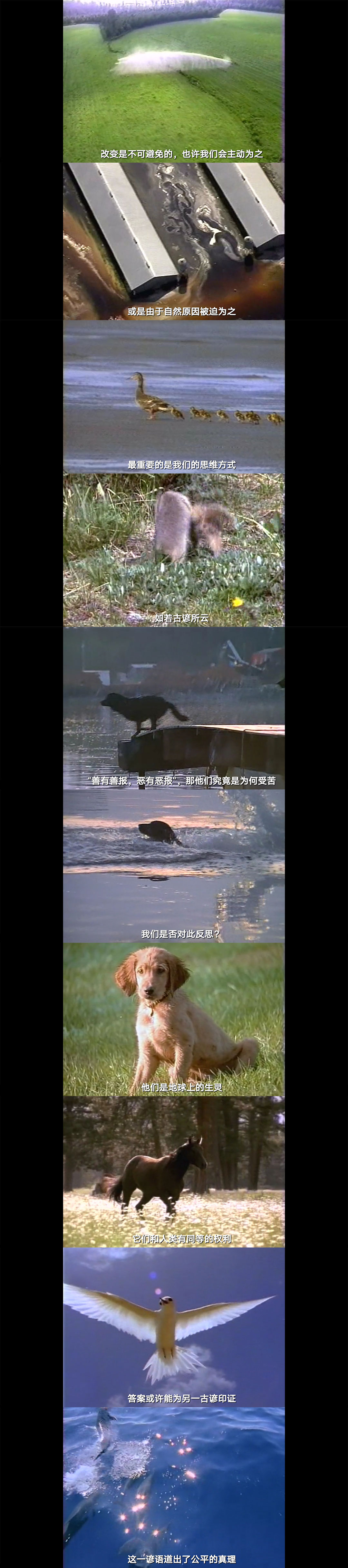 地球公民剧照的剧照