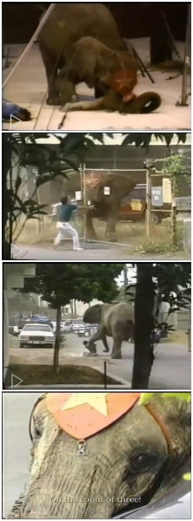 地球公民剧照的剧照