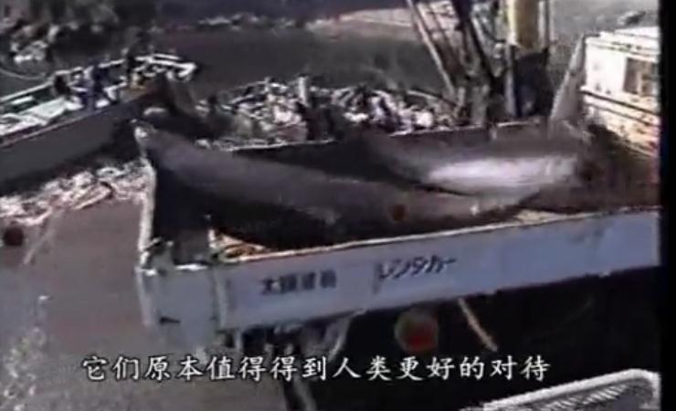 地球公民剧照的剧照