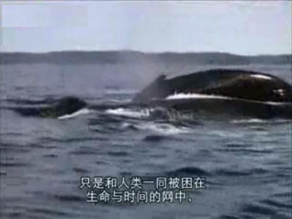 地球公民剧照的剧照