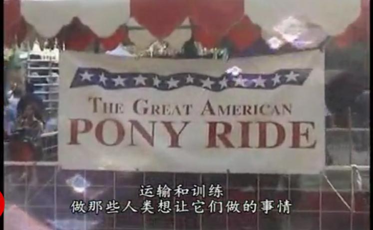 地球公民剧照的剧照