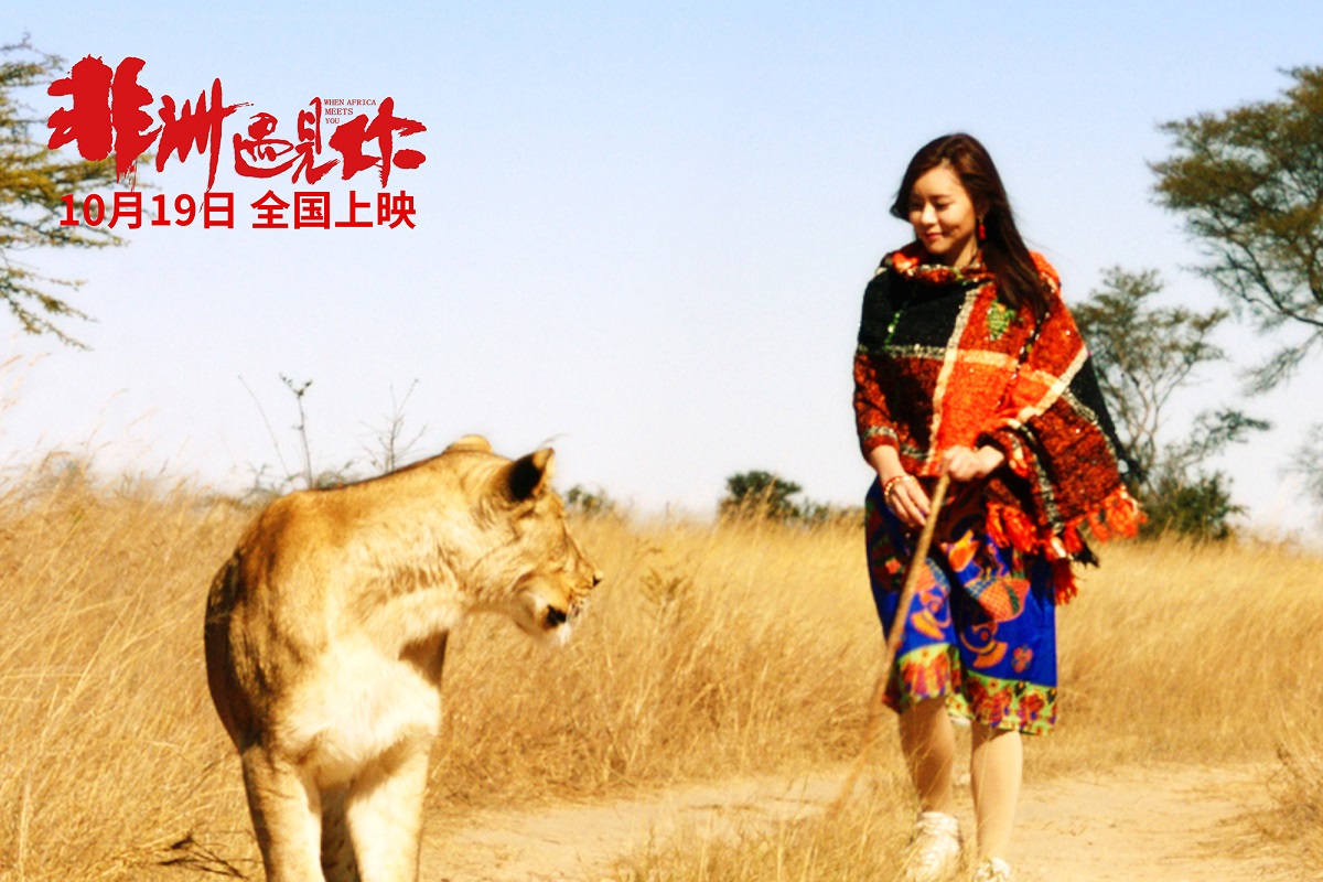 非洲遇见你剧照的剧照