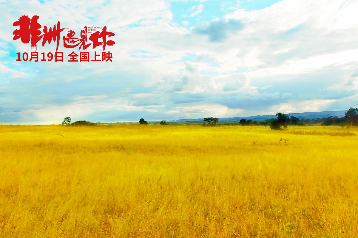 非洲遇见你剧照的剧照