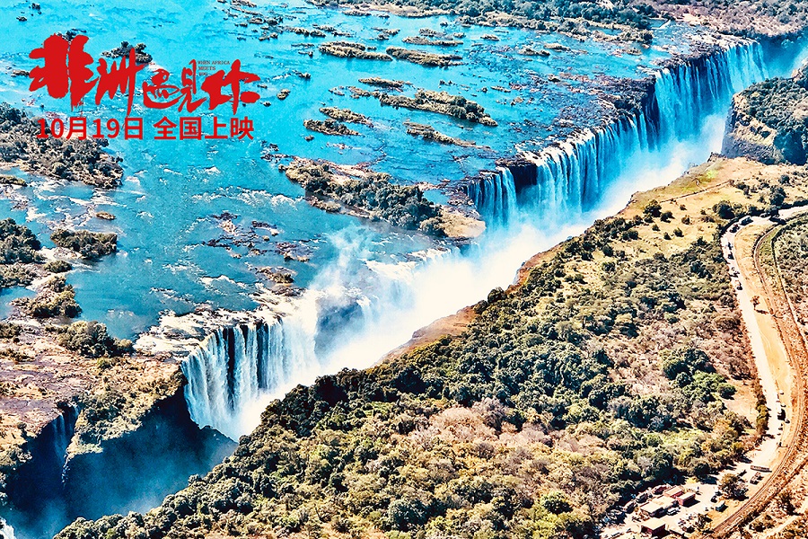 非洲遇见你剧照的剧照