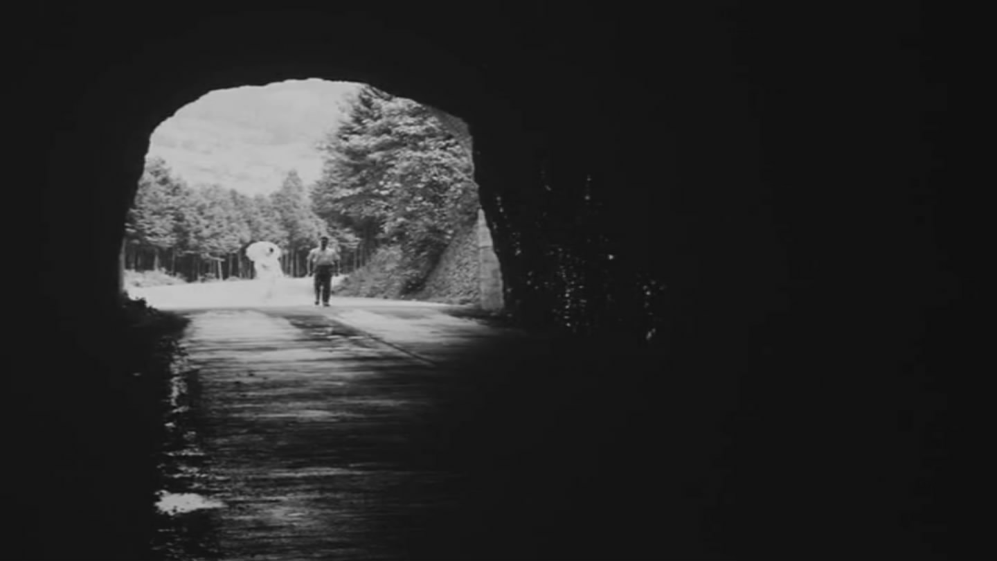 女人中的陌生人剧照的剧照