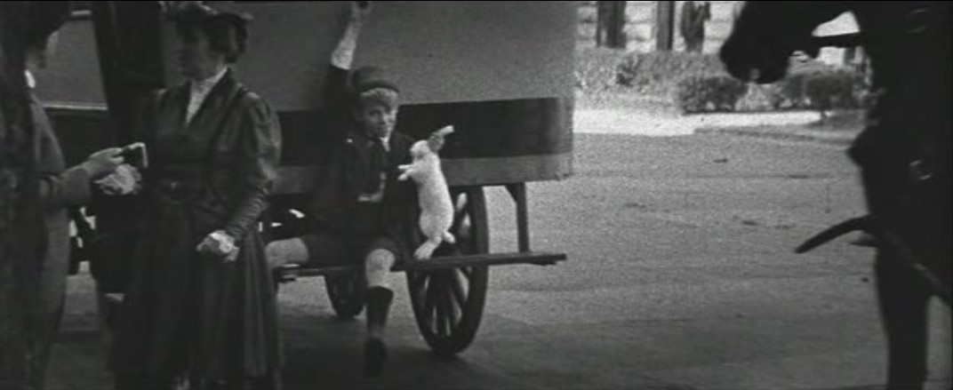 保罗街小子们剧照的剧照