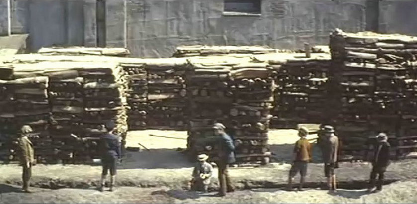 保罗街小子们剧照的剧照