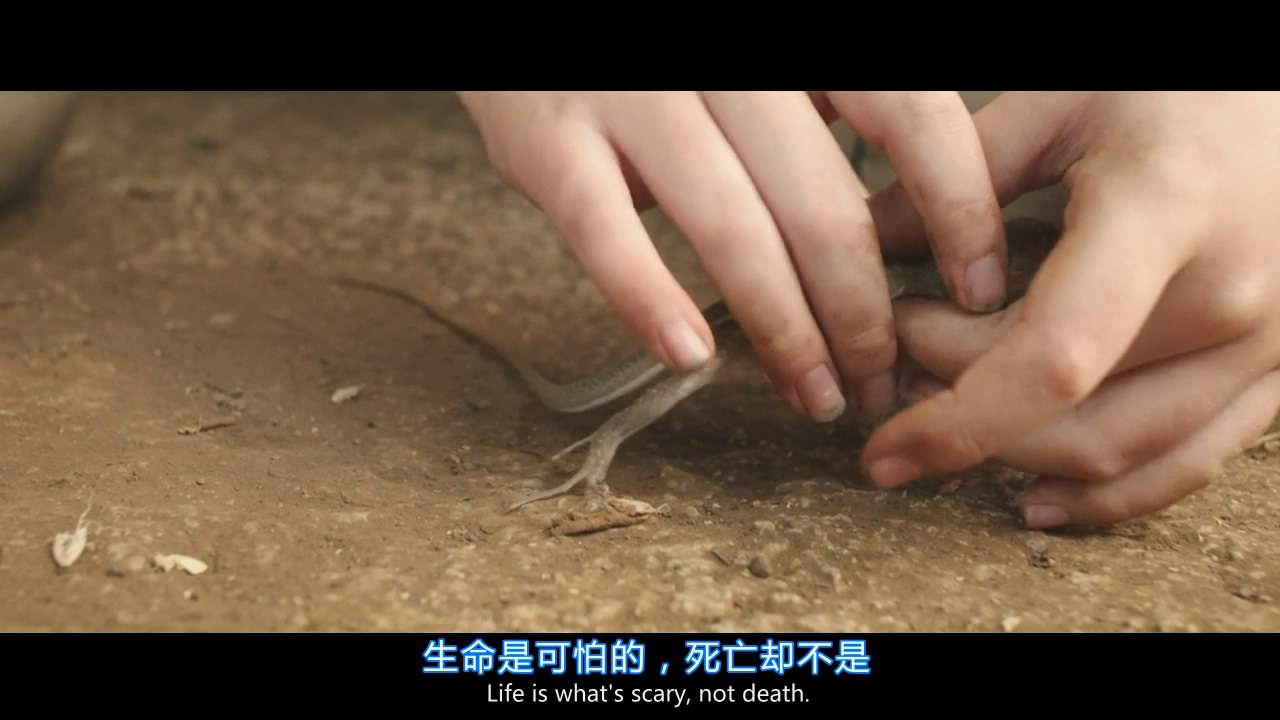 复生实验剧照的剧照