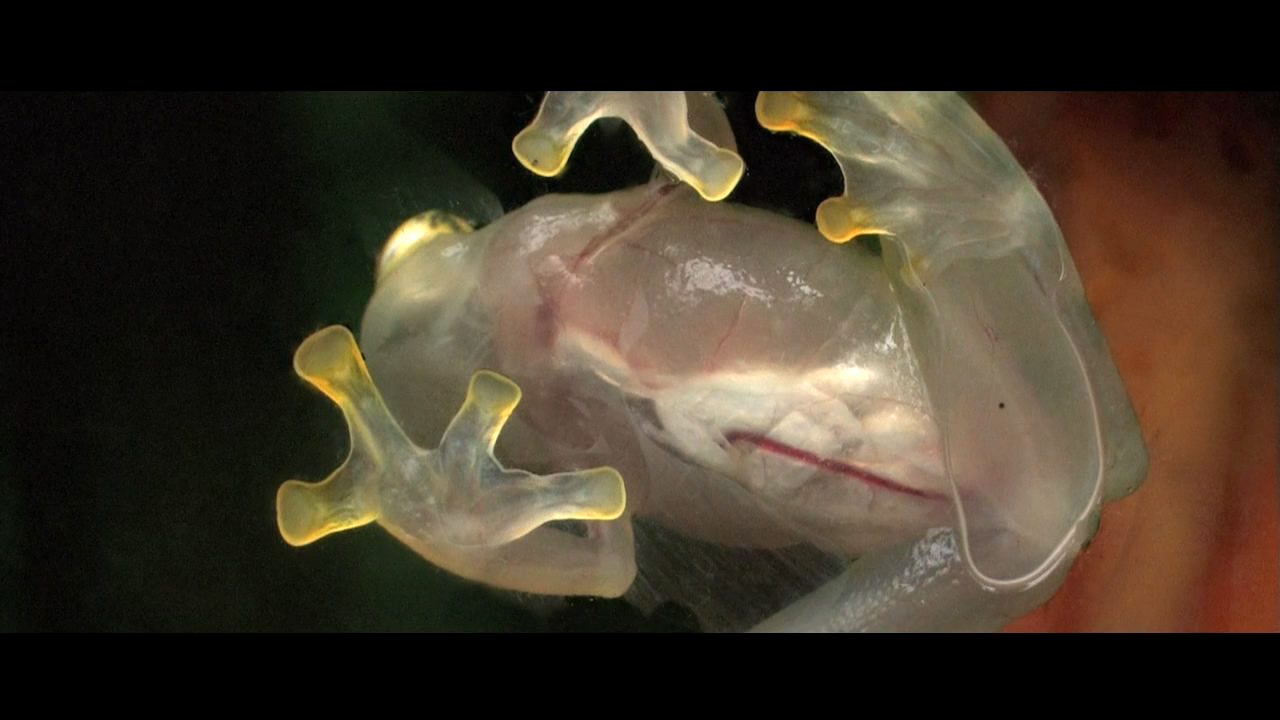 复生实验剧照的剧照