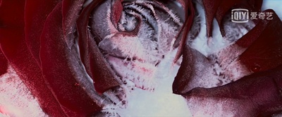 暮光之城4：破晓(下)剧照的剧照