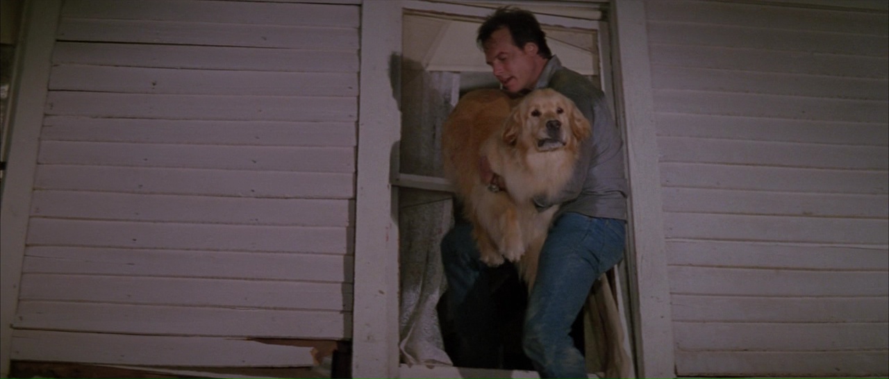 龙卷风剧照的剧照