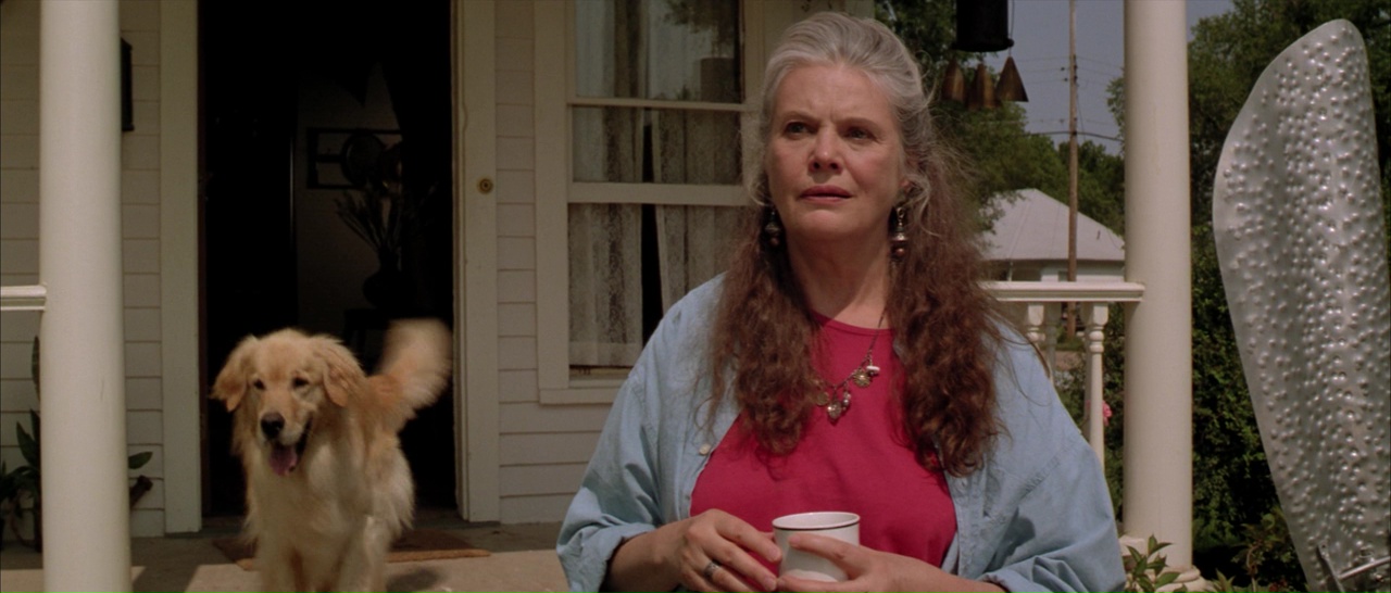 龙卷风剧照的剧照