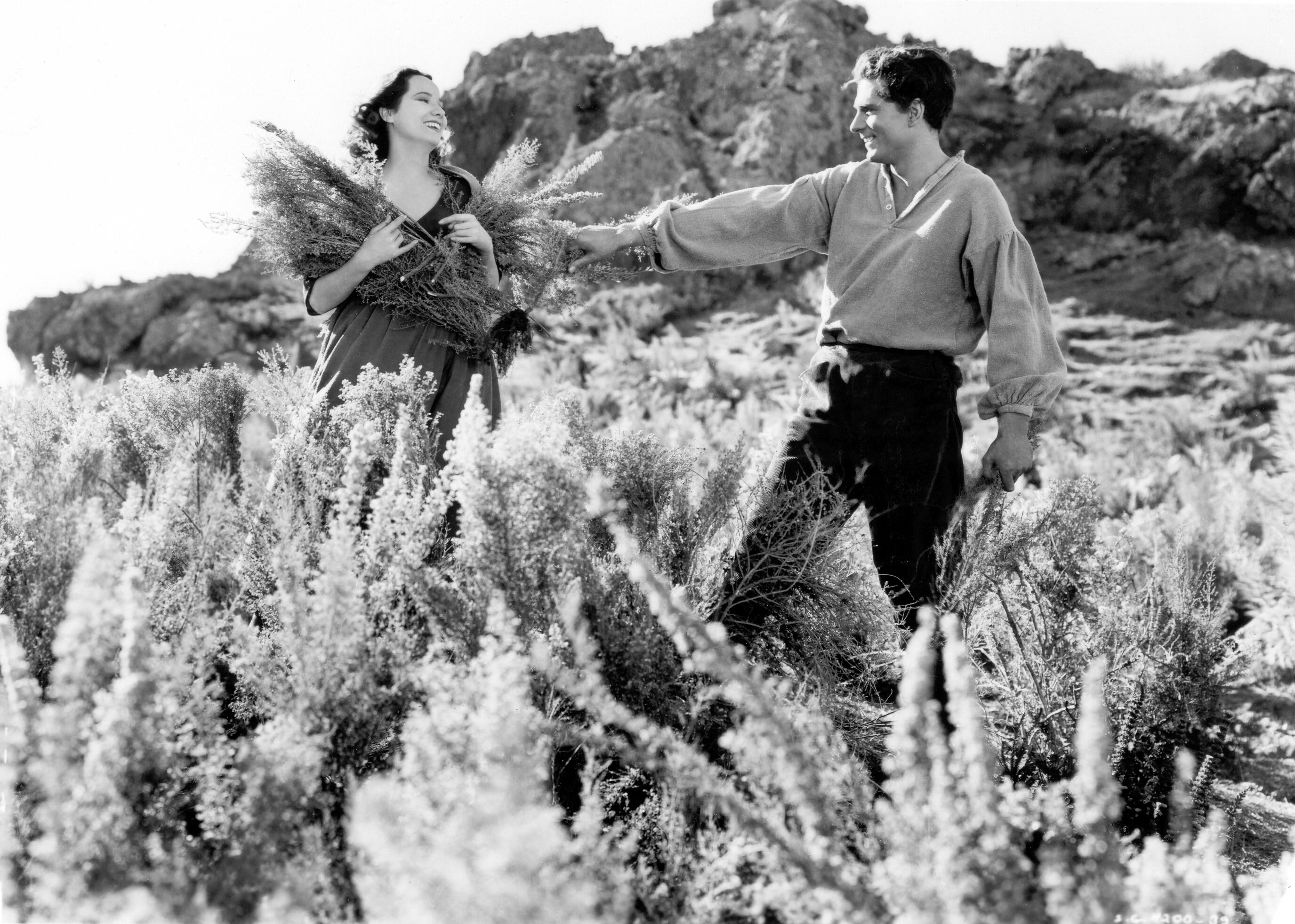 呼啸山庄剧照的剧照