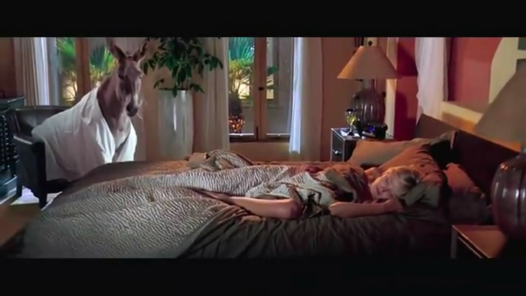 心碎度蜜月剧照的剧照