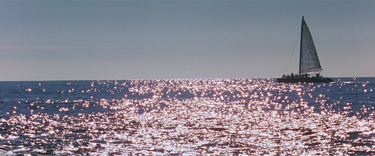 心碎度蜜月剧照的剧照