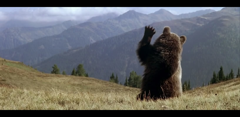 熊的故事剧照的剧照