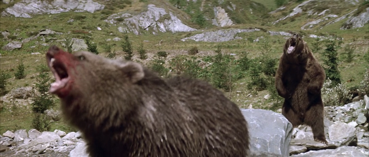 熊的故事剧照的剧照