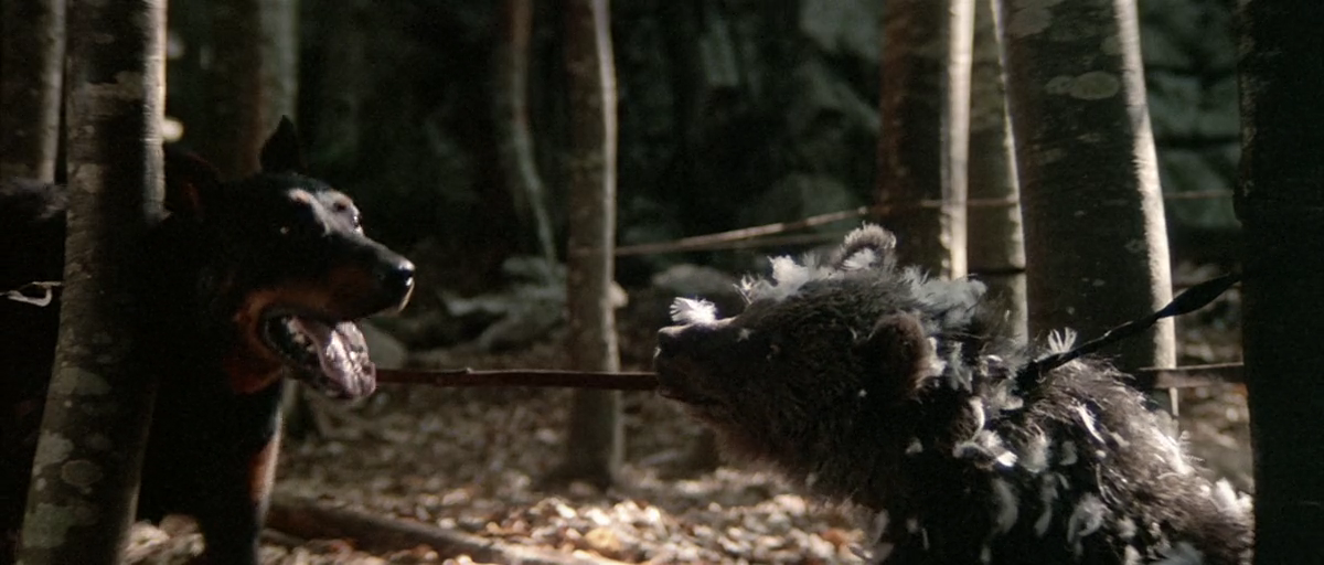 熊的故事剧照的剧照