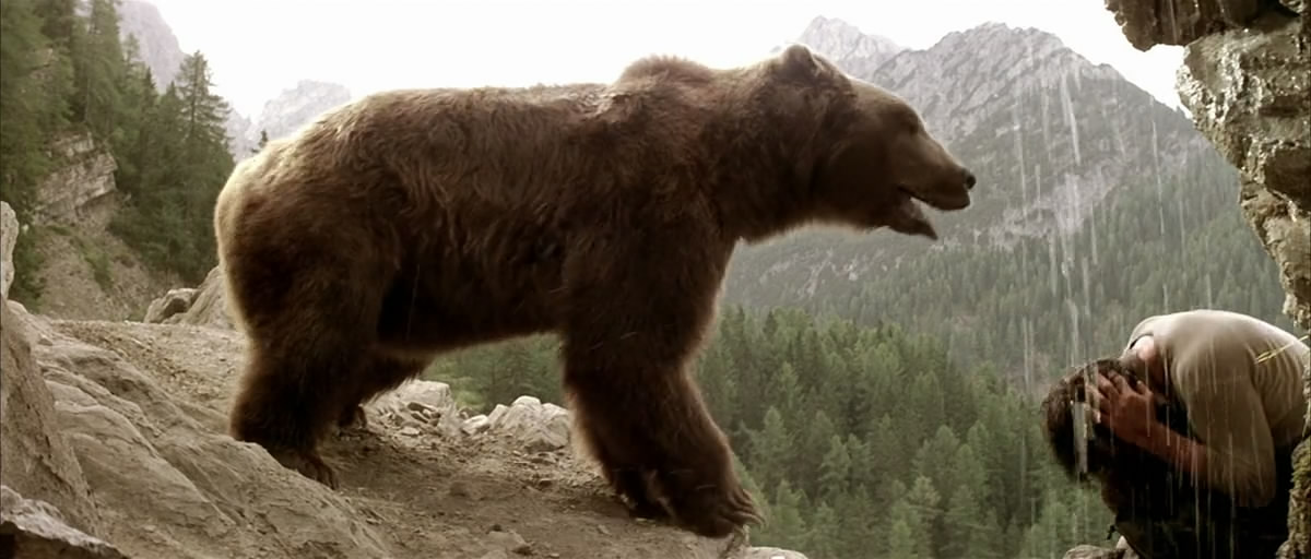 熊的故事剧照的剧照