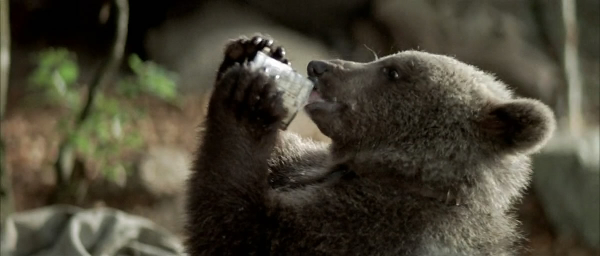 熊的故事剧照的剧照