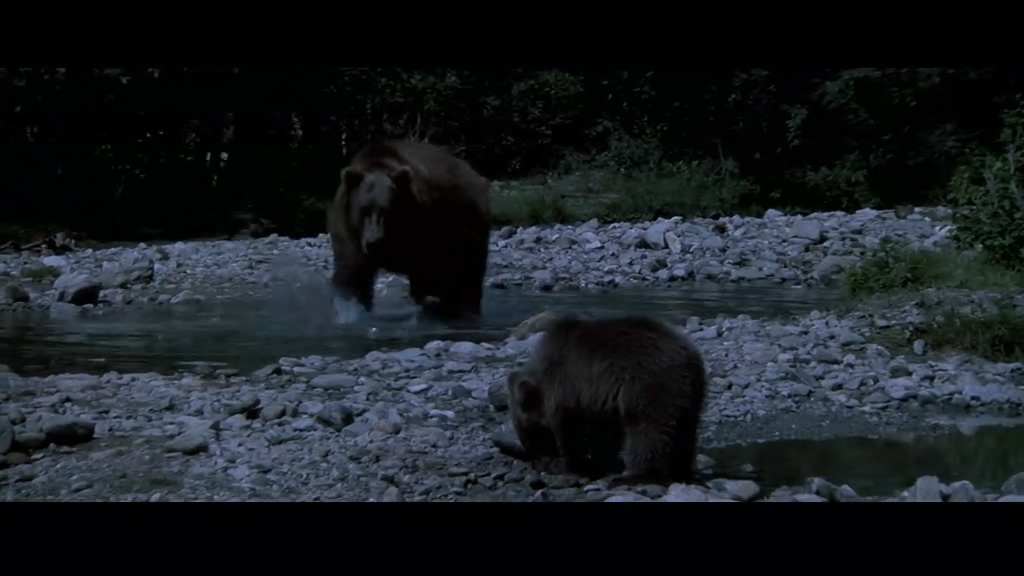 熊的故事剧照的剧照