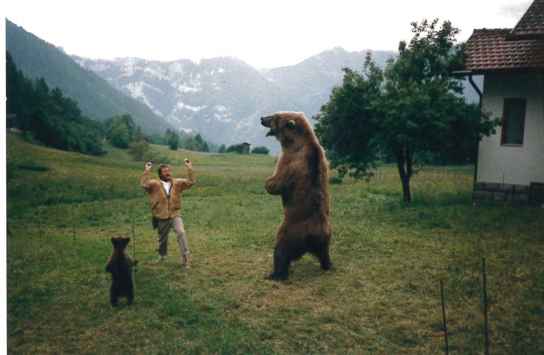 熊的故事剧照的剧照