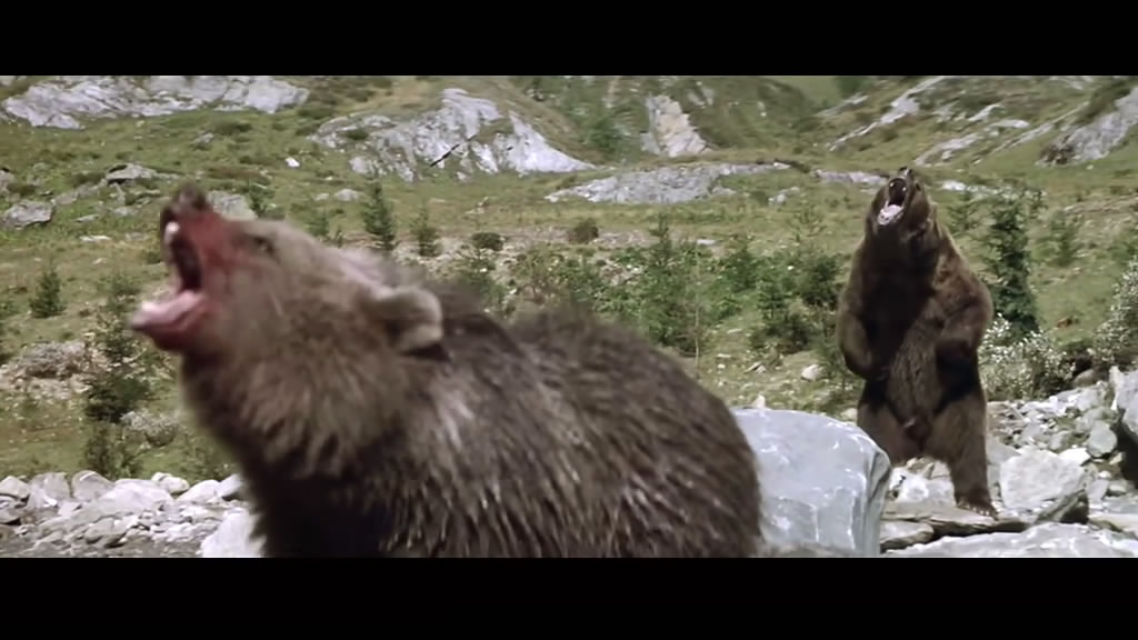 熊的故事剧照的剧照