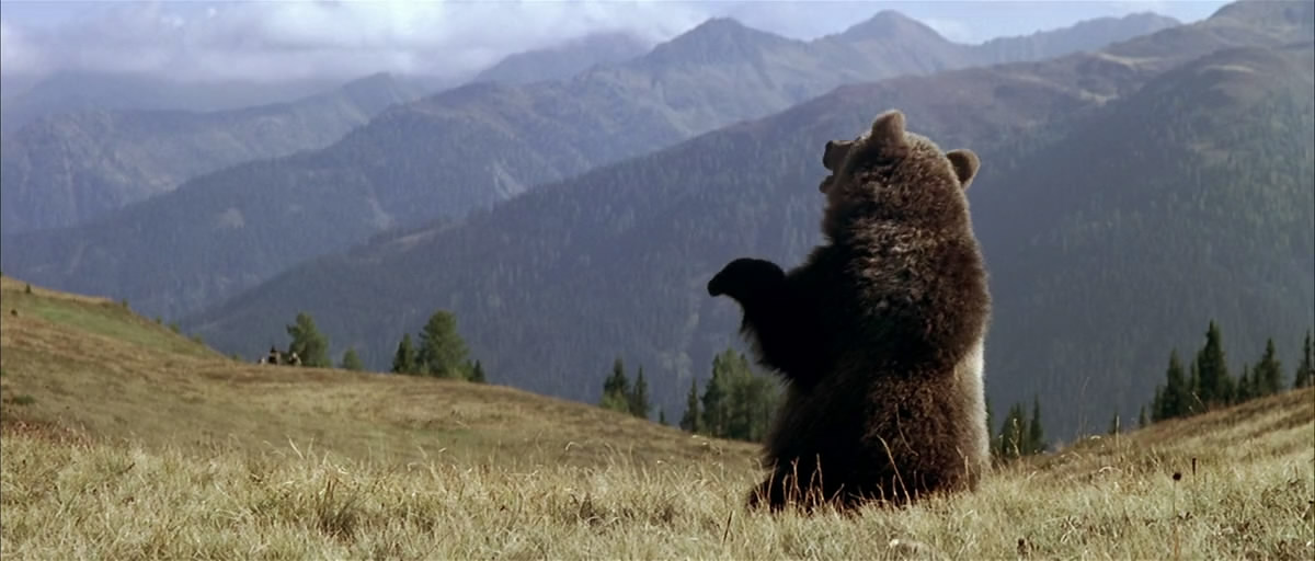 熊的故事剧照的剧照