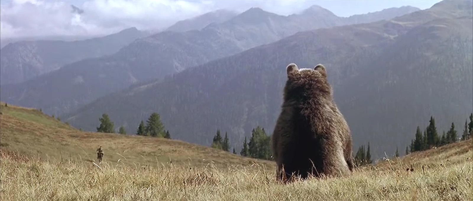 熊的故事剧照的剧照