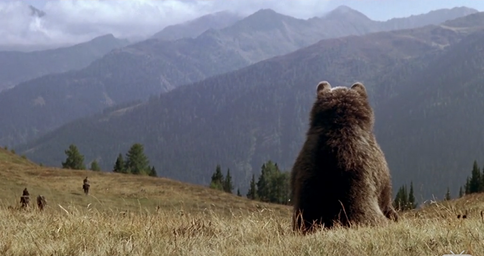 熊的故事剧照的剧照