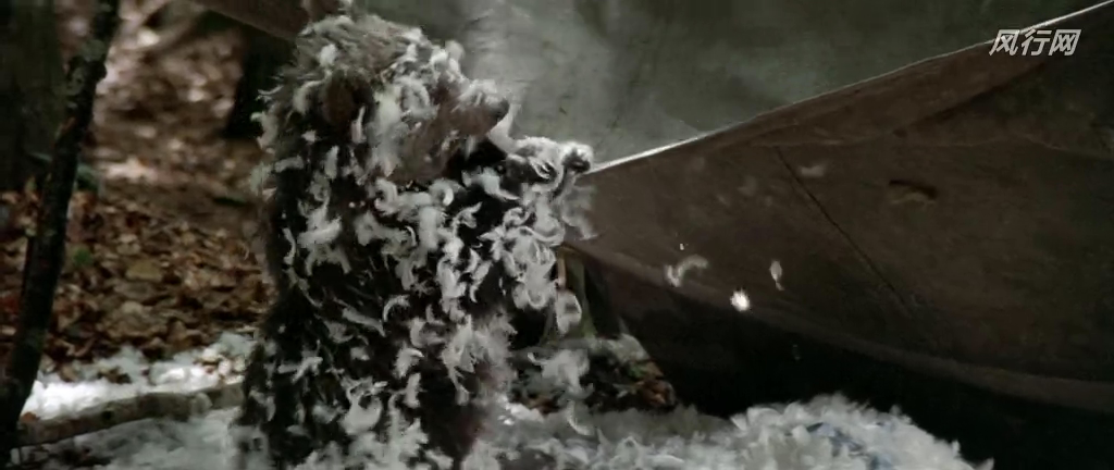 熊的故事剧照的剧照