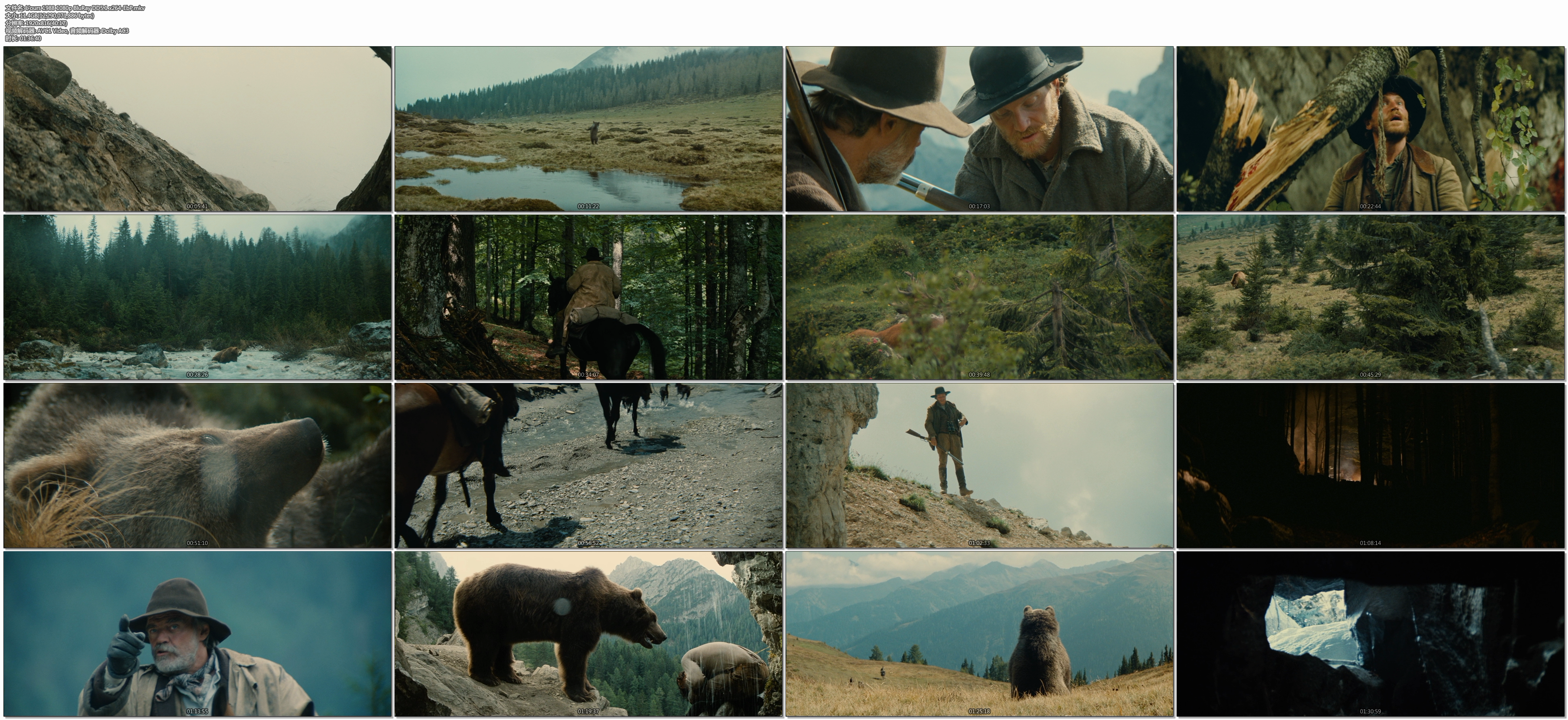 熊的故事剧照的剧照