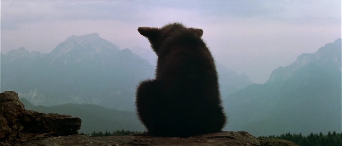 熊的故事剧照的剧照