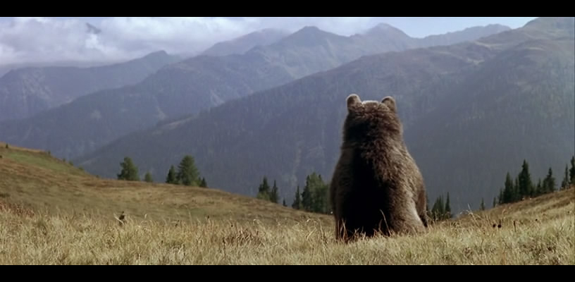 熊的故事剧照的剧照