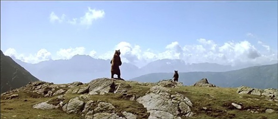 熊的故事剧照的剧照