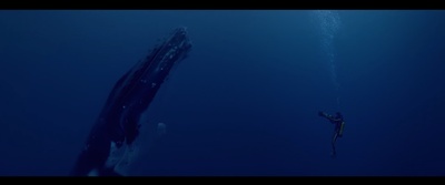 奥德赛剧照的剧照