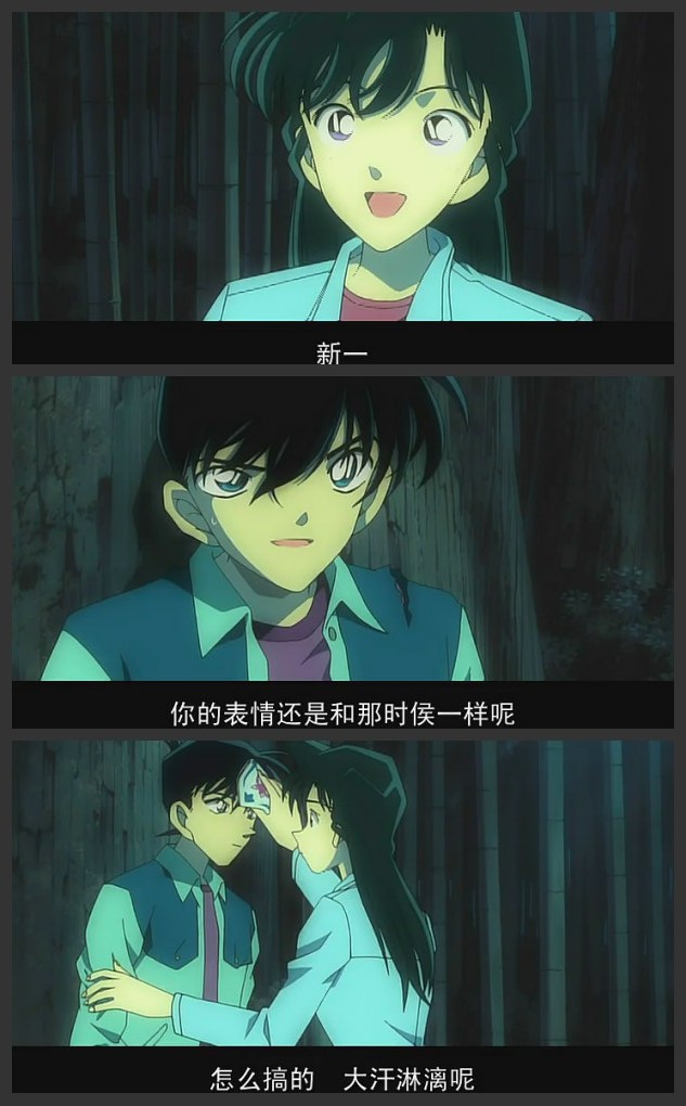 名侦探柯南：迷宫的十字路口剧照的剧照